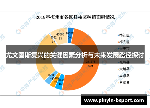 尤文图斯复兴的关键因素分析与未来发展路径探讨
