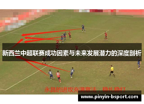 新西兰中超联赛成功因素与未来发展潜力的深度剖析 新西兰中超联赛成功因素与未来发展潜力的深度剖析