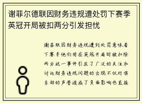 谢菲尔德联因财务违规遭处罚下赛季英冠开局被扣两分引发担忧